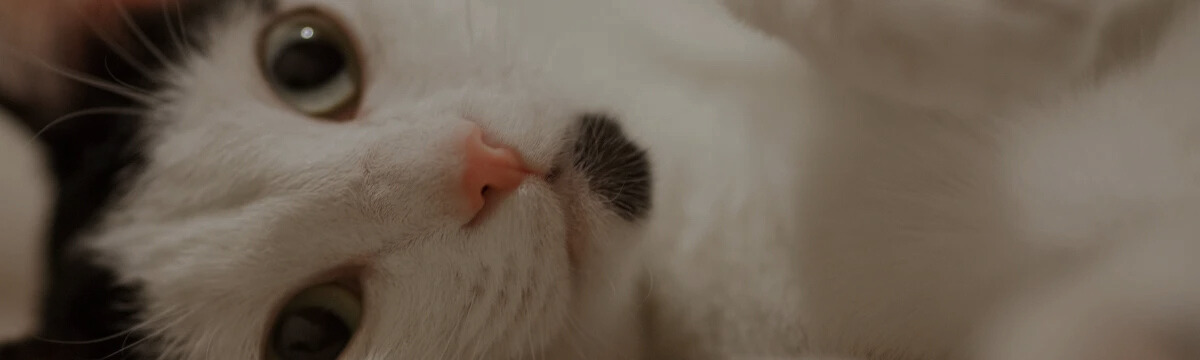 7b77c06f-43cd-42c7-bde1-828a55a69570