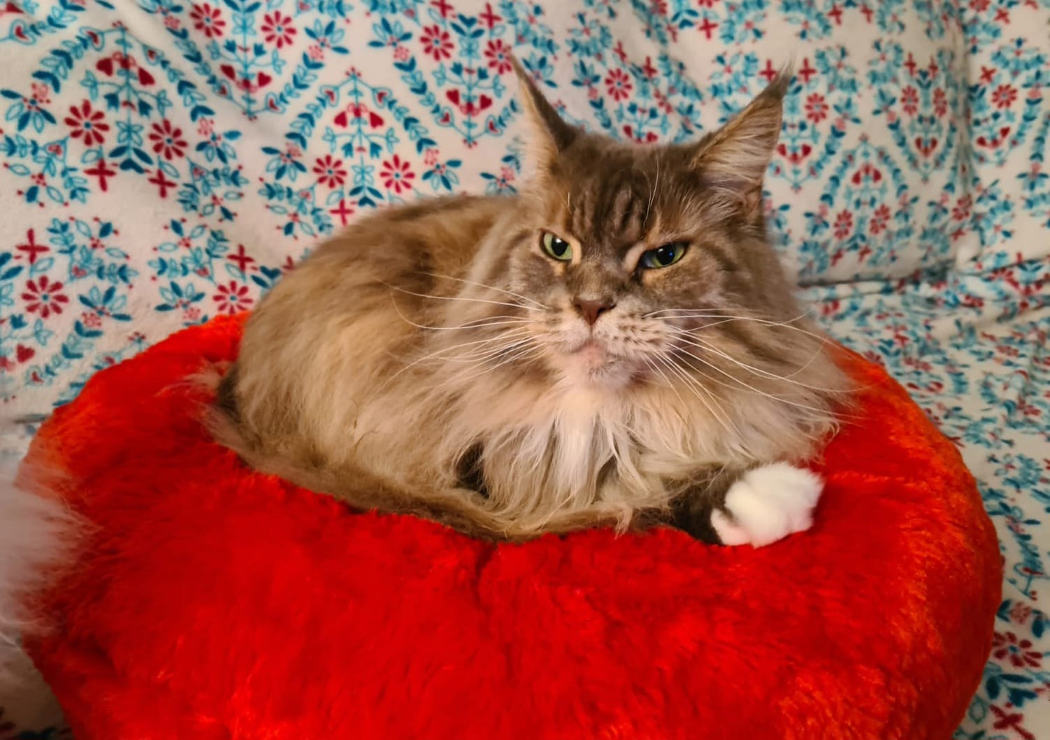 WhatsApp Image 2025-02-04 at 08.46.01